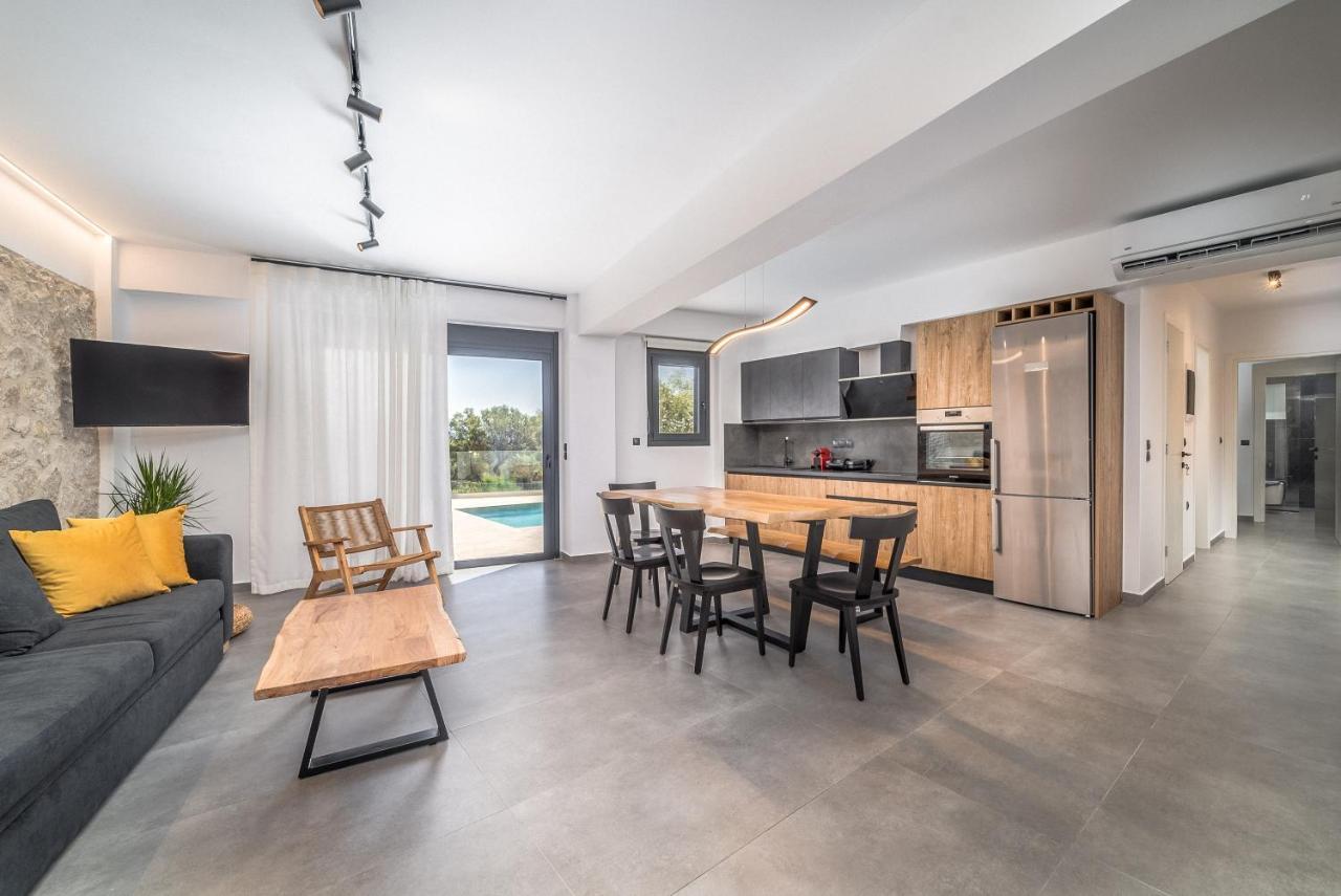 Nemesis Luxury Villas Apolpaina Buitenkant foto